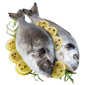 Fresh Fish