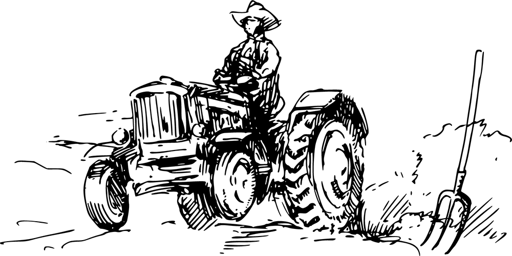 woltointernational.com